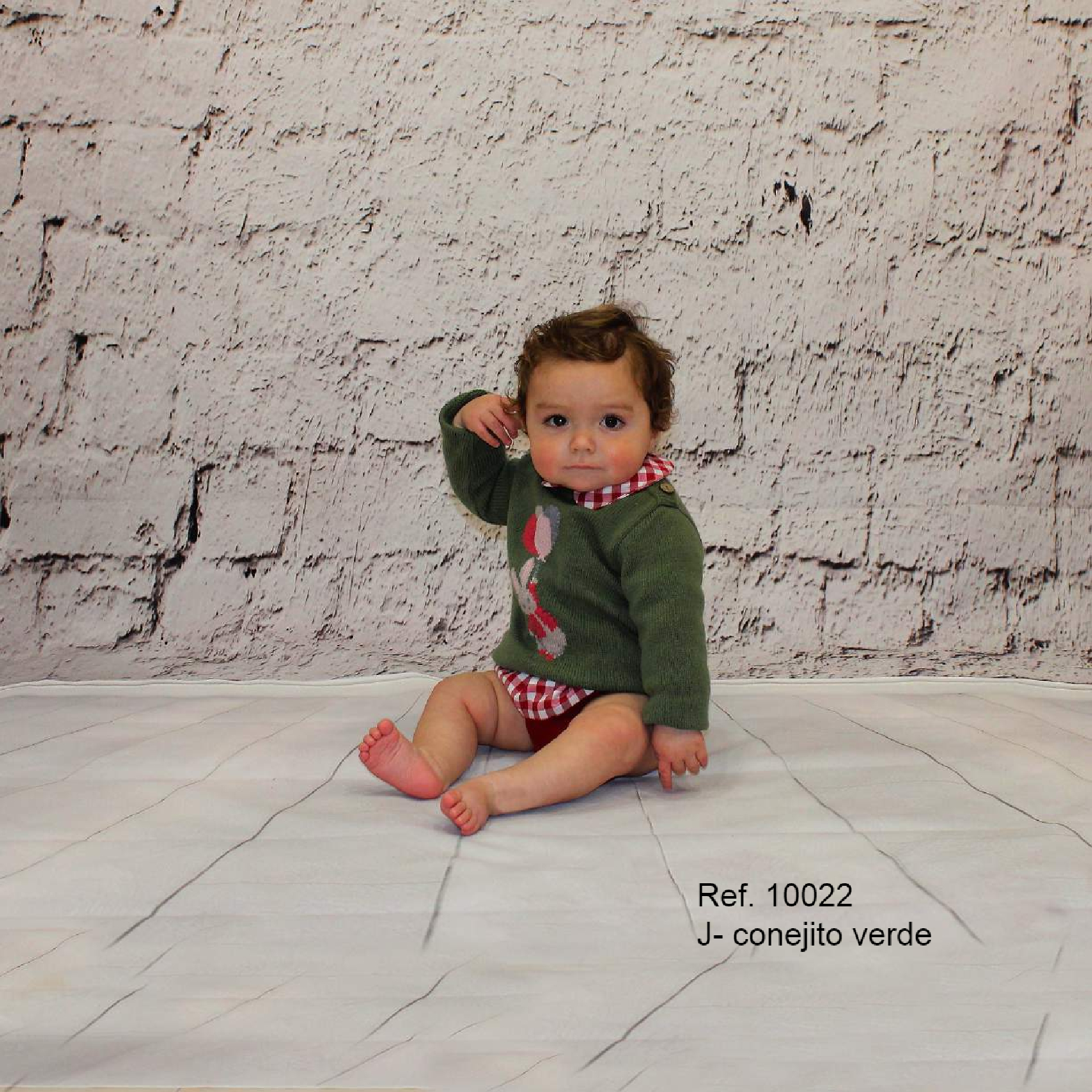 Jersey rabbit verde
