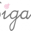 sigar logo