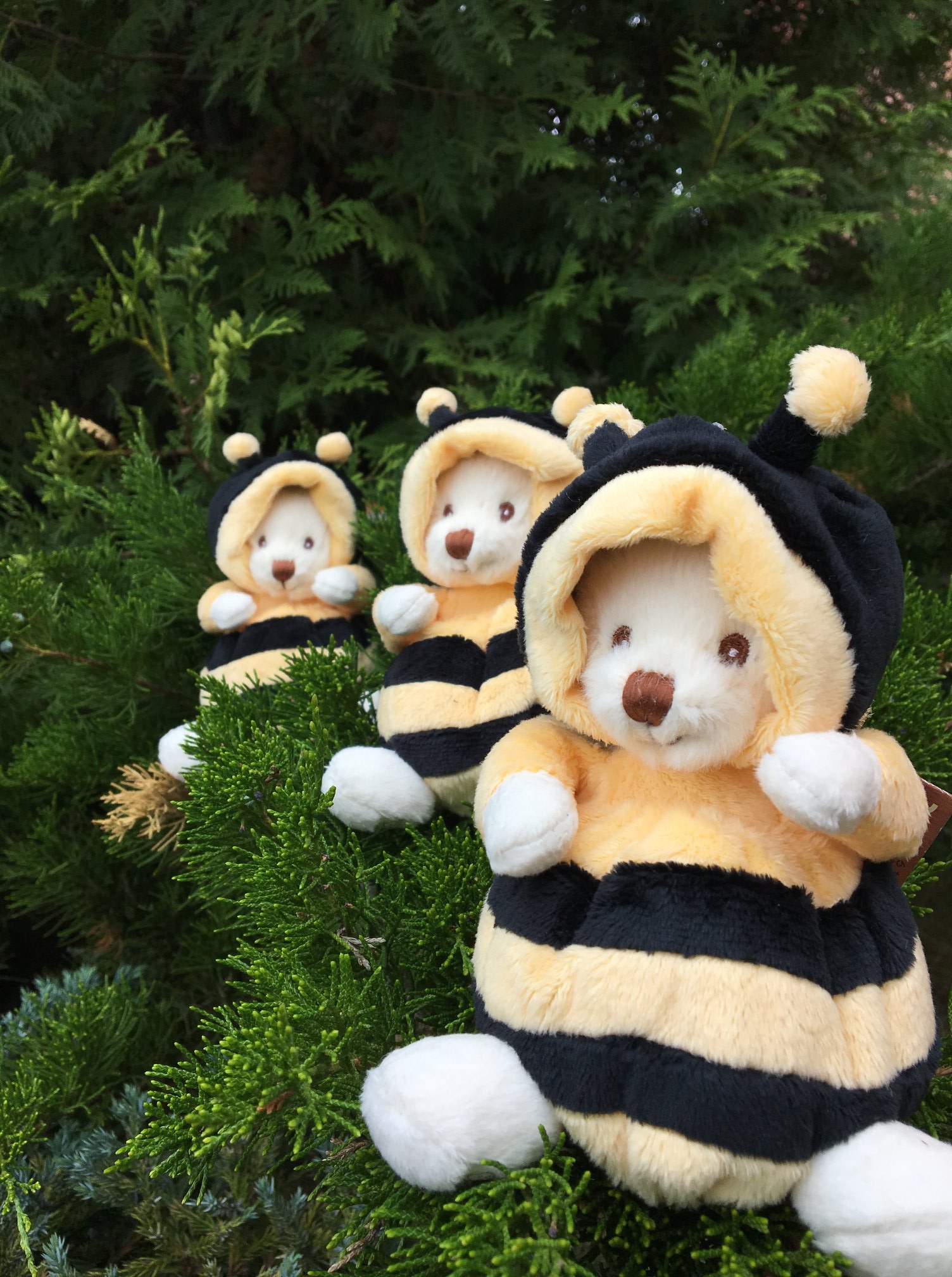 Peluche Ziggy Bukowsky