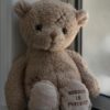 Nobody is perfect Peluche Bukowsky
